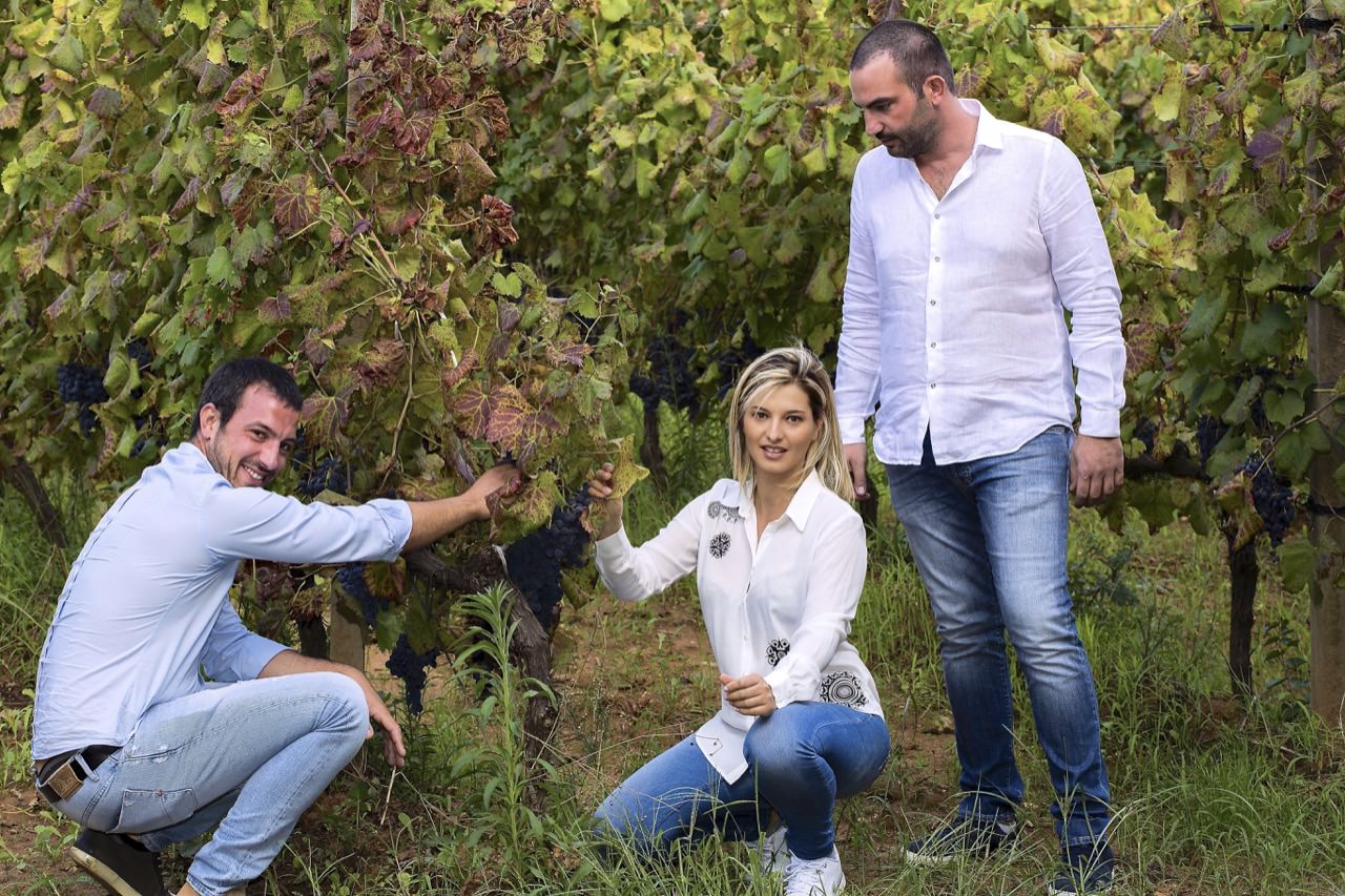 Azienda