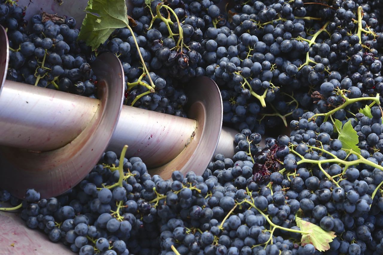 Produzione