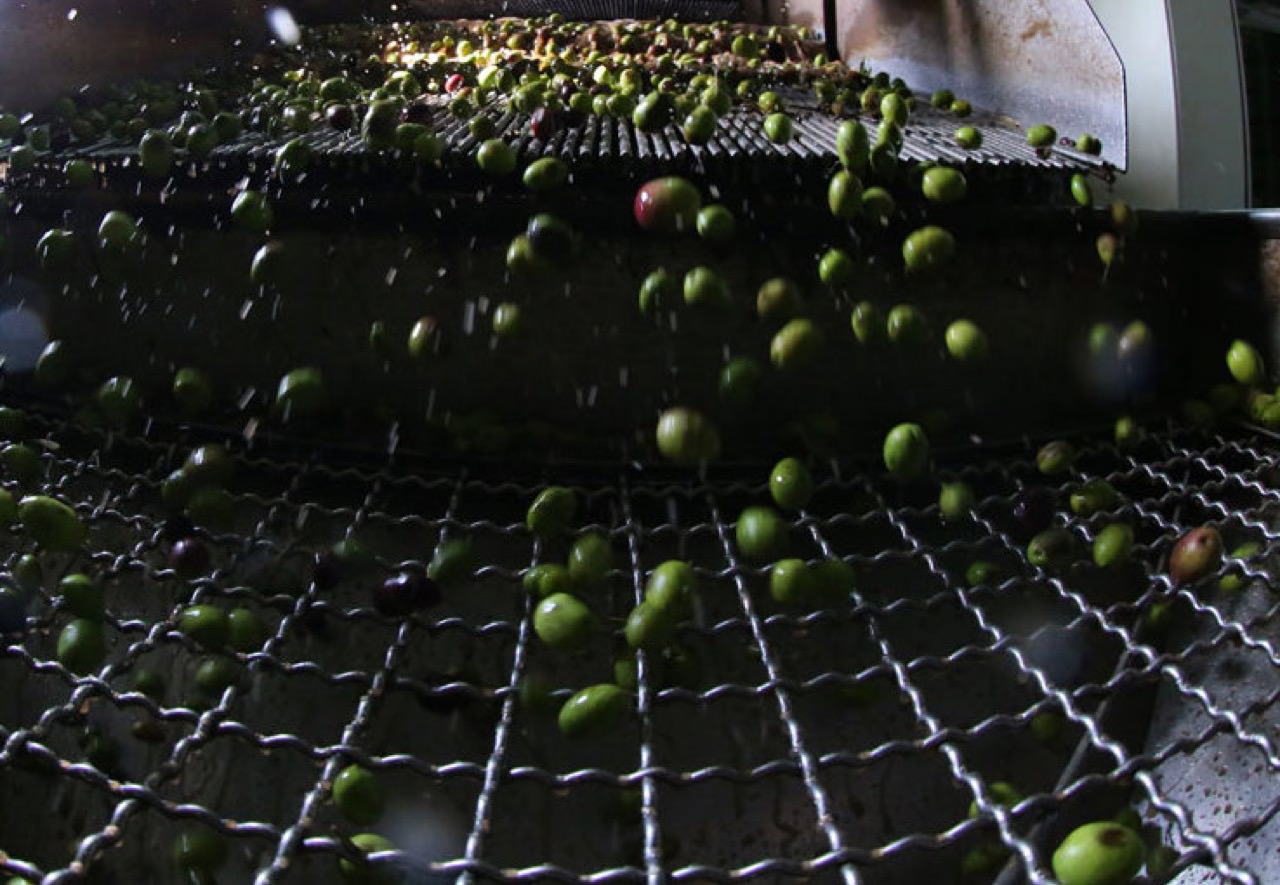 Produzione Olio