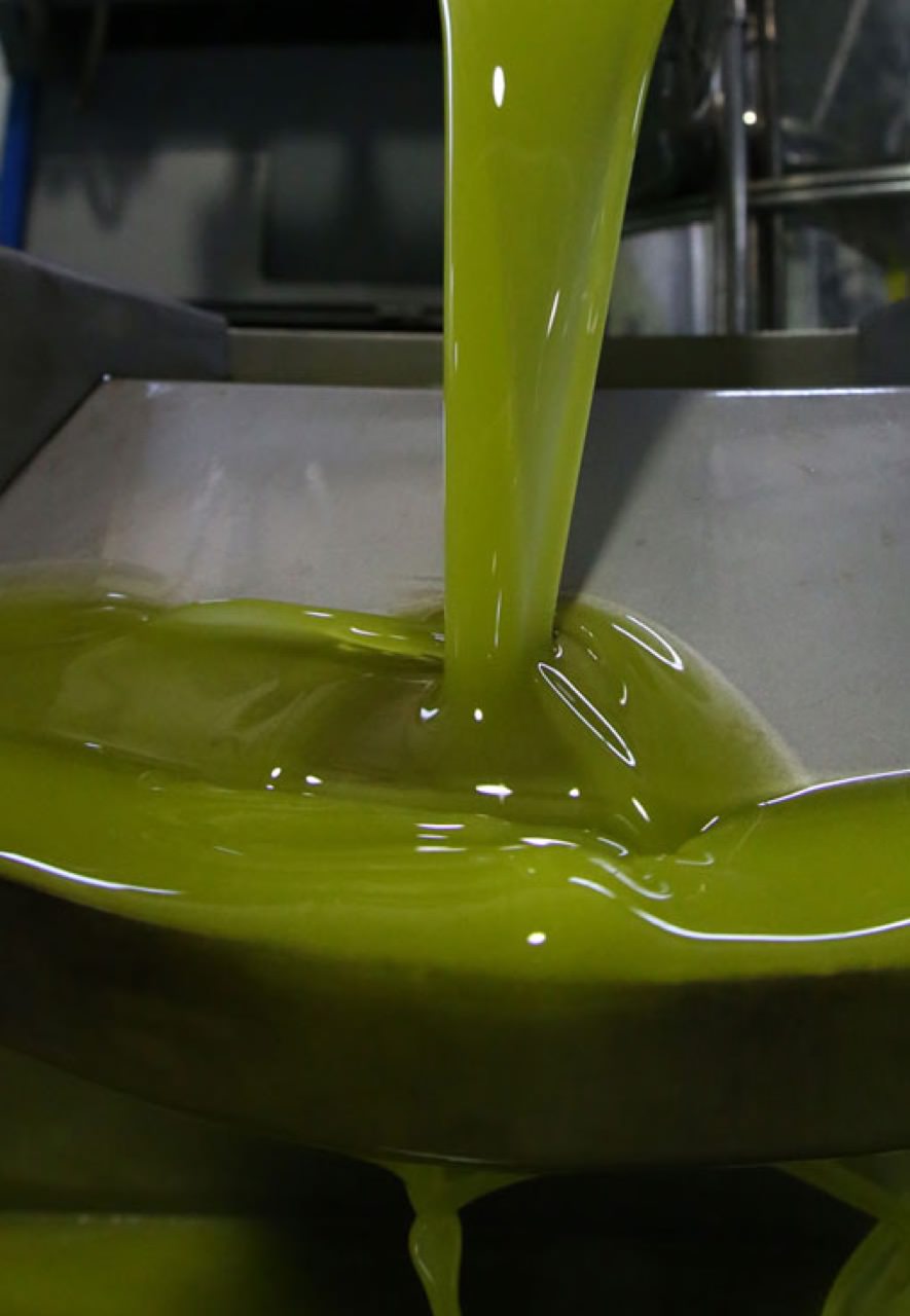 Produzione Olio