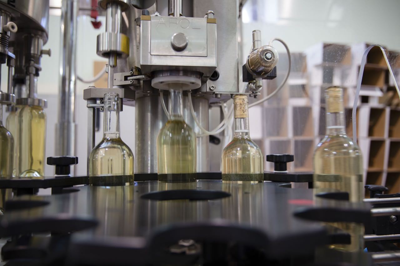 Produzione Vino
