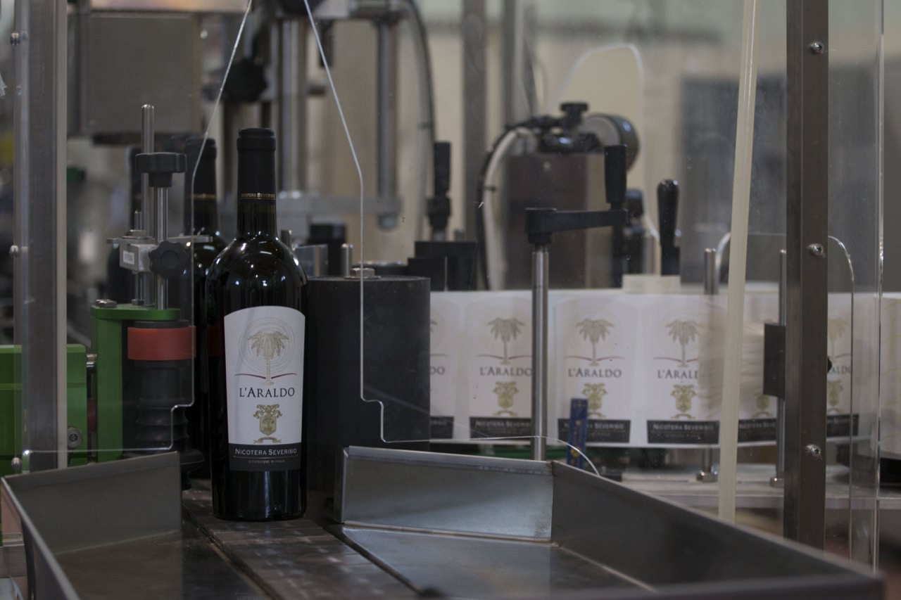 Produzione Vino