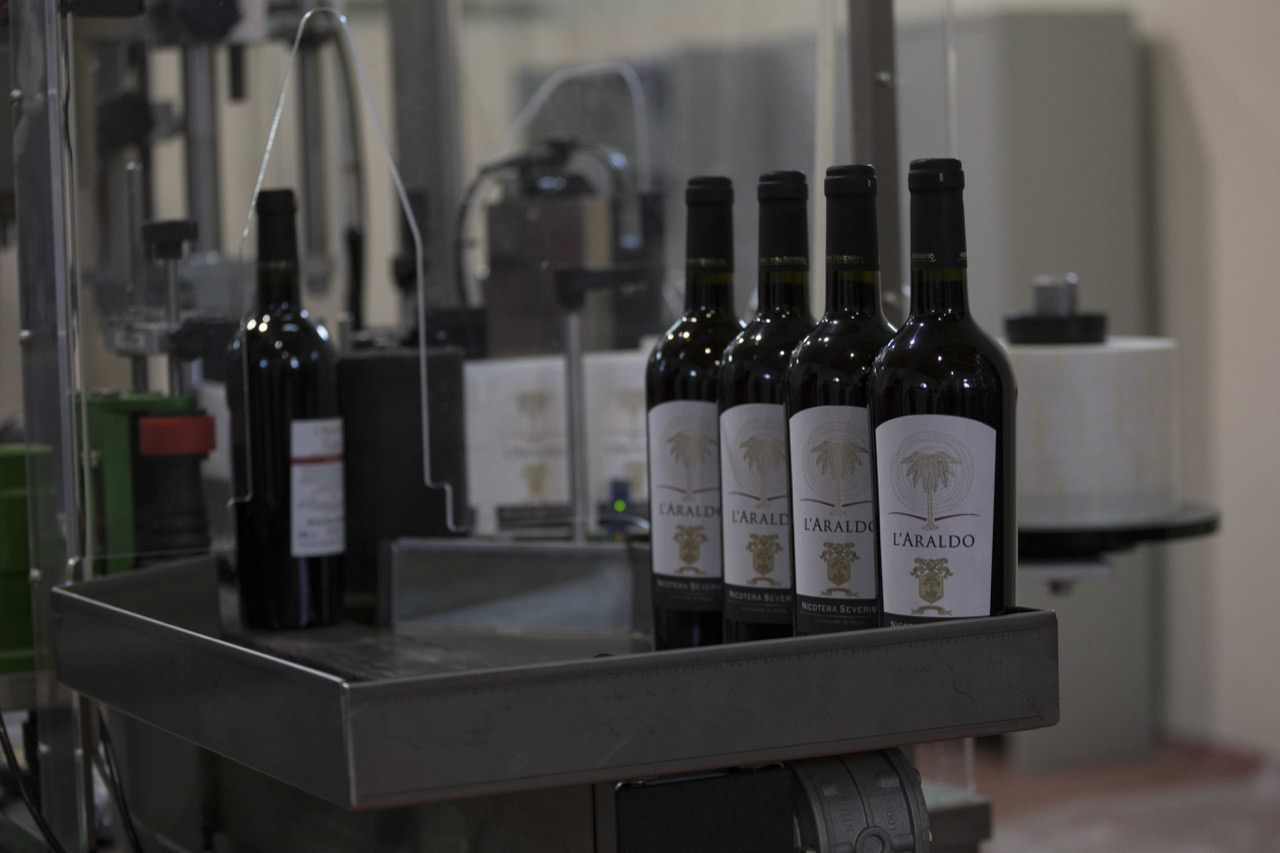 Produzione Vino