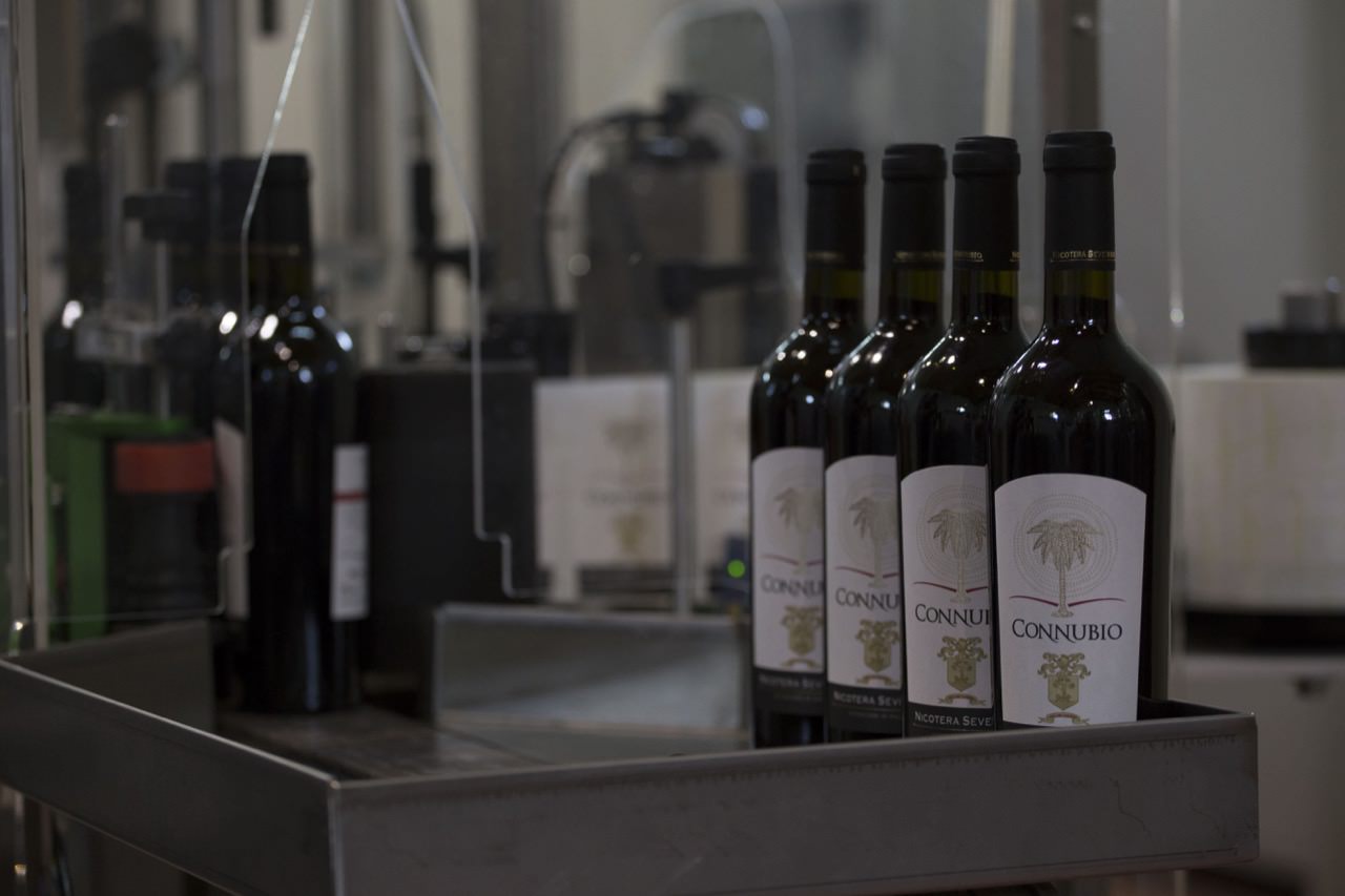 Produzione Vino