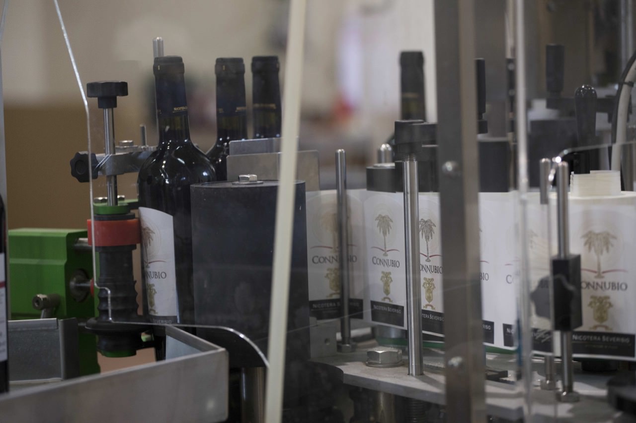 Produzione Vino
