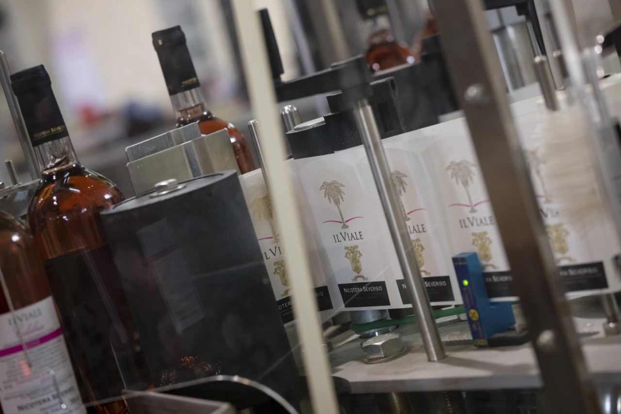 Produzione Vino