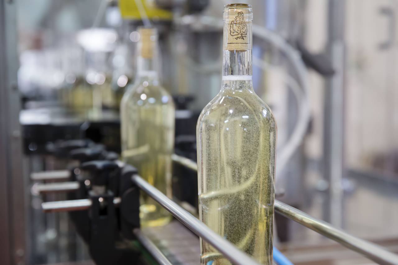 Produzione Vino