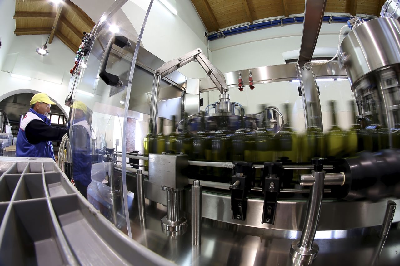 Produzione Vino