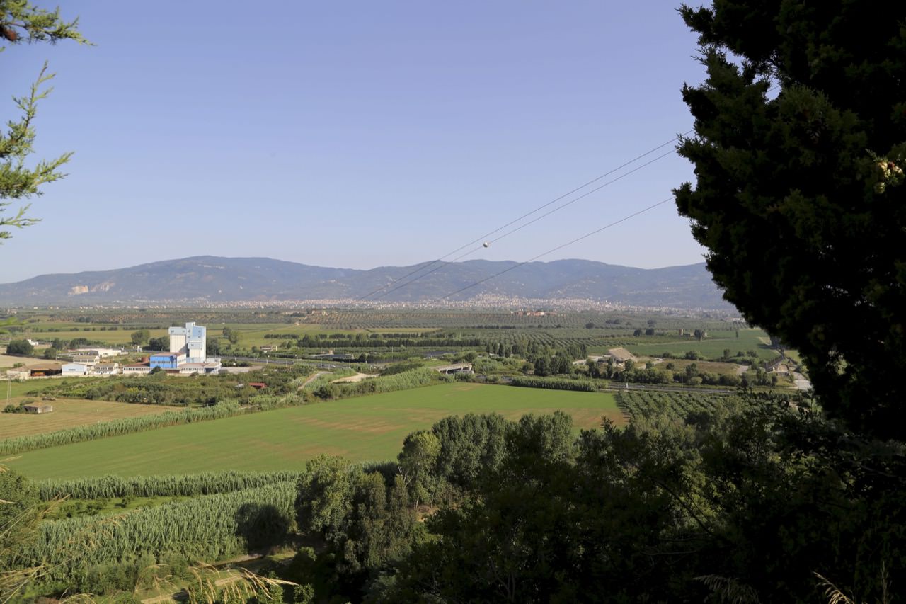 Uliveto