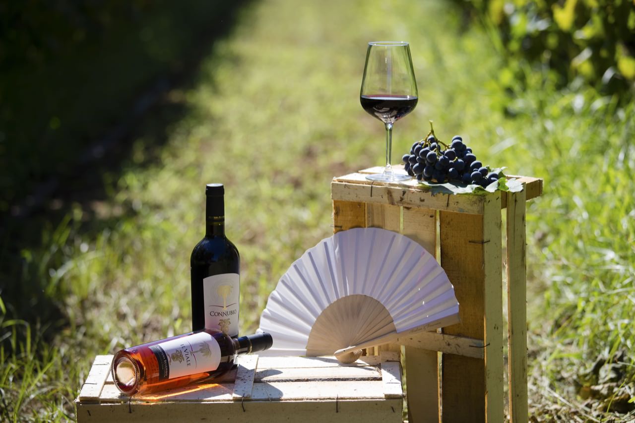 Vino
