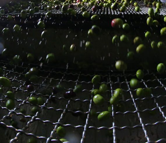 Produzione