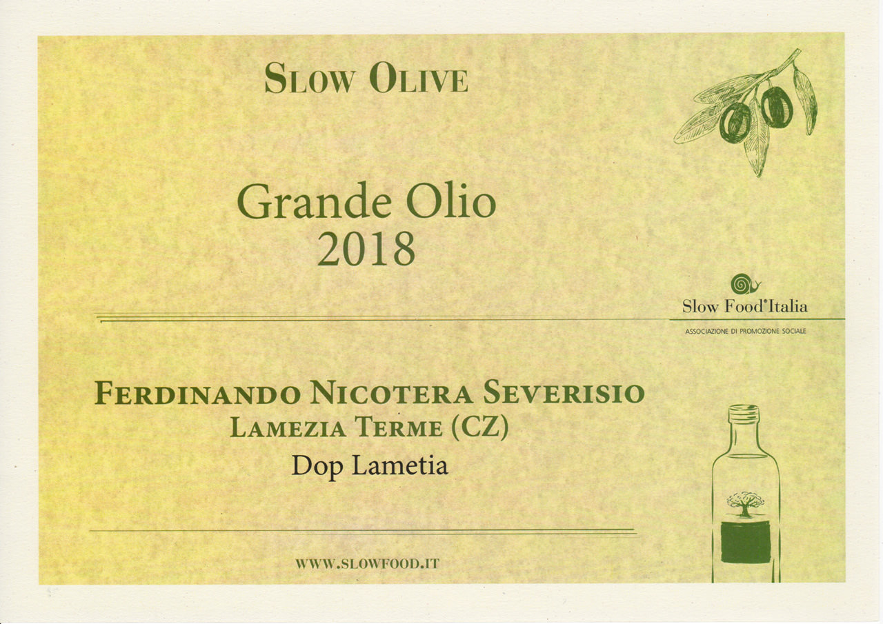 Tra i migliori oli extravergine di Calabria: il Dop Lametia Nicotera Severisio ottiene il premio Slow Food Tra i migliori oli extravergine di Calabria: il Dop Lametia Nicotera Severisio ottiene il premio Slow Food
